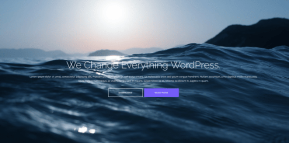 Shaply WordPress Bootstrap Theme