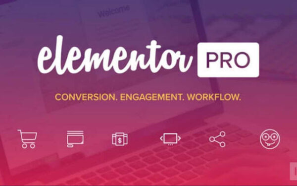 Elementor Pro