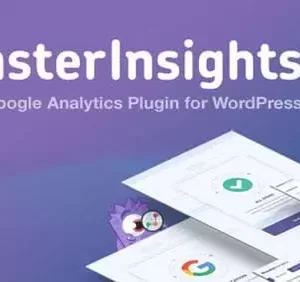 MonsterInsights pro