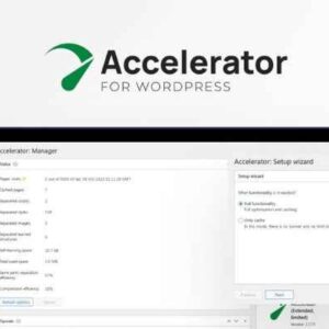 Seraphinite Accelerator plugin