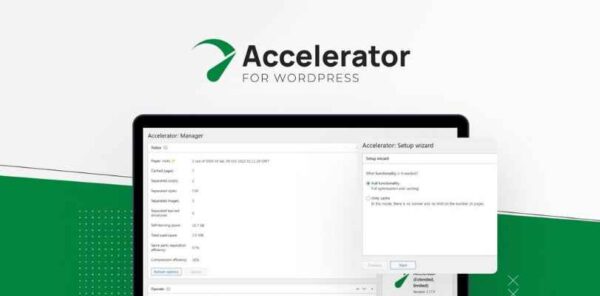 Seraphinite Accelerator plugin