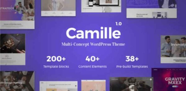 Camille Multi-vendor WordPress theme