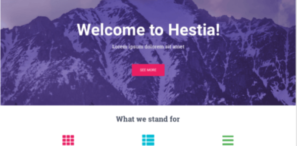 Hestia Pro WordPress theme