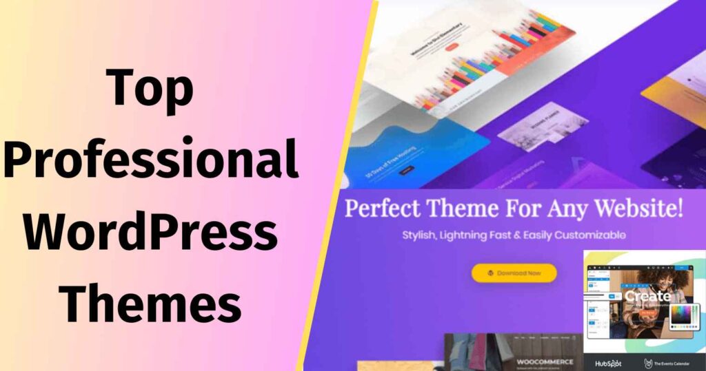 Best professional WordPress themes