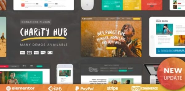 Charity foundation Charity WordPress Themes