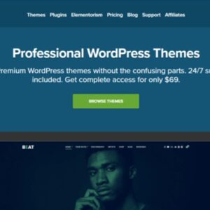 Net WordPress Theme By CSS Igniter