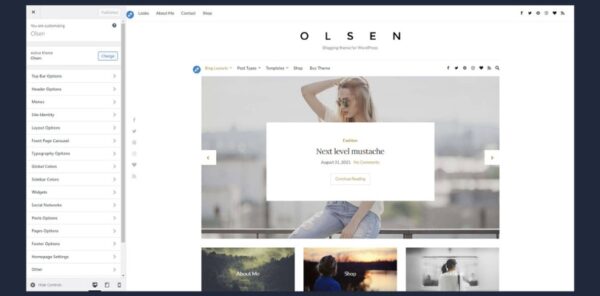 Olsen WordPress Theme By CSS Igniter