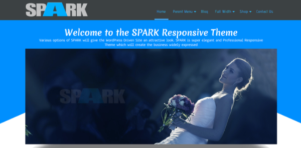 Spark WordPress Theme