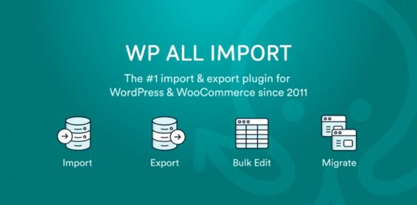 WP All Import Pro WooCommerce plugin