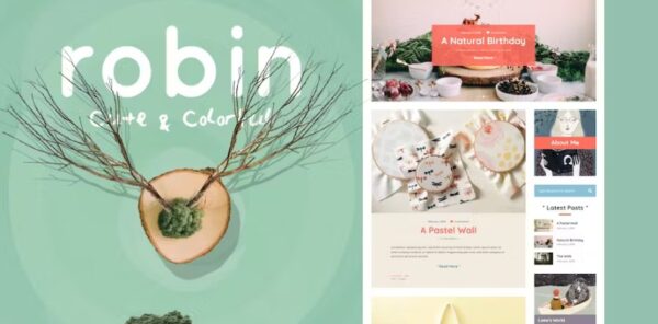 Robin – Cute & Colorful Blog WordPress Theme